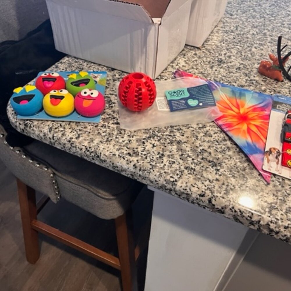 4 Piece S Dog Lot Leash, toys, and bandana